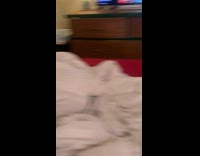 Collab Clips mpugc - Dog shaking in owners arm watching cat