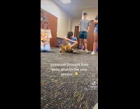 Baby brown goat in middle of circle of people