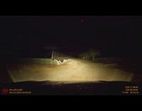 Rainstorm on a cloudy night on the car