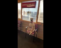 Collab BitchMP - Guy tells dog his tires are out 