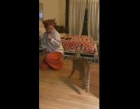 Cat approaches woman and ends up liking her 