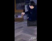 White cat playing chess against guy