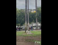 Lady Tasers Man with Crossbow in Park