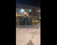 Two raccoons climb eat on trash can