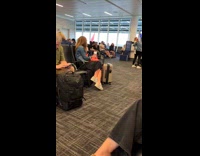 Dog running through airport