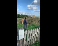 Collab DailyDoseOfInternet - Brown cow charges towards the man