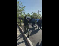 Black car crashes into trees bicycle path