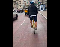 Bird on the head of the biker at street 