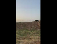 Guy throws frisbee and hits phone camera 