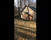 Little boy shoots basketball with dog