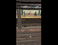 Collab WINY - Stray cat walks on the subway rail
