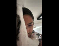 Collab BitchMP - Guy cuddling with cat