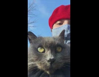 Girl holds and cuddles stray grey cat