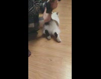 When you need a little help to get on your feet. 