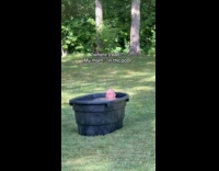 Dad chill in tub filled with water backyard