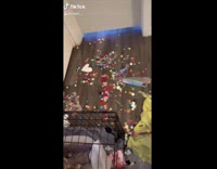 Dog gets into art supplies glitter poop 