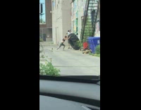 Woman push large truck tire workout video shoot