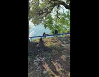 Tomb Raider look a like photo shoot Part 3