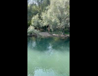 Kid cross tree log falls on water