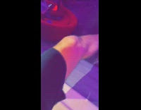 Pet bird on the feet and flies on filmers hand