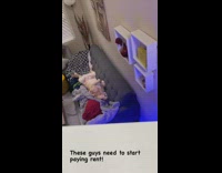 Dog sleep on sofa needs to pay rent