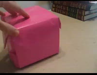 Guy pink origami jack in the box 