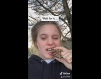 Girl eats pine cone throws up