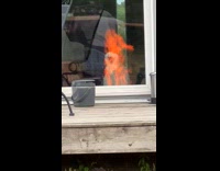 Collab Clips mpugc - Cat watching fire reflection from the window