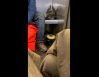 Man cooks in rice cooker inside subway