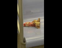 Tbone steak bone left on subway seat
