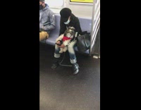 Dog grey muzzle face mask train girl 