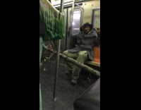 guy with dead tree on subway