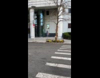 Man on street wears like Beetlejuice suit