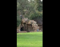 Tourists pose for photos at zoo