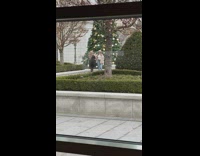 Woman brown hat and jacket christmas tree