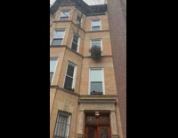 Guy throws Christmas tree out window 