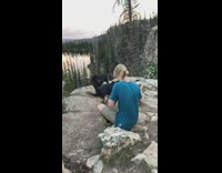 Black dog bark shake interrupt shoot lake