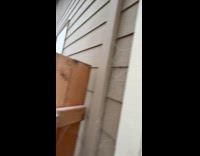 Spider webs frozen on the wooden fence