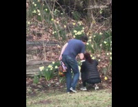 White dog yellow flower black jacket lady  