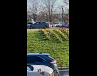 Woman lie down on the tulip field to take pictures
