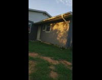 Black puppy dog red collar blue house 