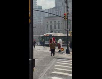 Group of animal mascots being filmed crossing street