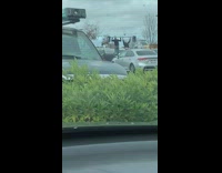 Two guys pull ups car overcast plants