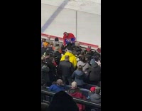 Guy throws stuffed toy at hockey stadium 