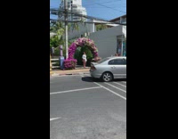 Flower arch street golf cart cars passing
