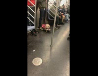 Dog wears pink and sits on skateboard
