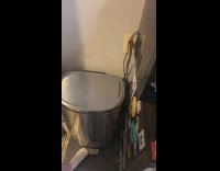 Collab Clips MPUGC - Orange cat inside of trash can