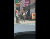 Black shirt girl walks carries white cat 