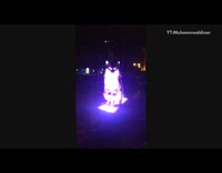 Cat sits on colorful changing  light outside 