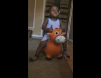 Baby boy blue white shirt rides orange bounce toy cow and falls off